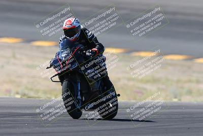 media/Apr-14-2024-SoCal Trackdays (Sun) [[70f97d3d4f]]/5-Bowl Exit (1020am)/